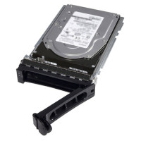 480GB SSD SATA ISE RI 6Gbps 512e 2.5in with 3.5in HYB CARR, CK 