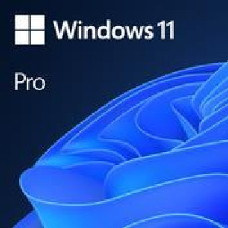SW OEM GGK WIN 11 PRO 64B/ENG 1PK 4YR-00316 MS 