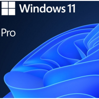 SW WIN PRO N 11 64-BIT ALL LNG PK LIC ONLINE DWNLD NR MS 