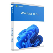 Win Pro FPP 11 64-bit Eng Intl USB, 