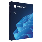 Win 11 Pro FPP P2 32-bit/64-bit RO USB 