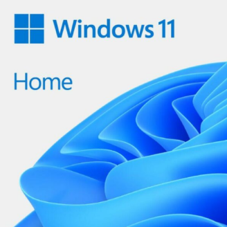 SW WIN HOME N 11 64-BIT ALL LNG PK LIC ONLINE DWNLD NR MS 