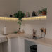 BANDA LUMINI LOGILINK, Wi-Fi Smart, autoadeziva, RGB, 90 x LED, 16 culori, 4 moduri, 570 lm, alimentare USB 5 V/1,2 A, 3m BANDA LUMINI LOGILINK, Wi-Fi Smart, autoadeziva, RGB, 90 x LED, 16 culori, 4 moduri, 570 lm, alimentare USB 5 V/1,2 A, 3m