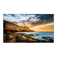 Monitor LED Professional monitor QE50T 50 inch  300(cd/m2) 3840x2160 (UHD) LH50QETELGCXEN Negru 