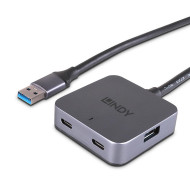 Hub Lindy 4 Port USB 3.0 5m 