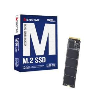 SSD SSD Biostar M760, 256GB, M.2, NVMe v1.3, PCI-E3x4, R/W 1800/1150 MB/s, DC 3.3V, 
