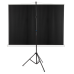 ECRAN proiectie Acer MC.JBG11.00F