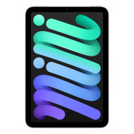IPAD MINI WI-FI 512GB SPACE GRAY-HCZ 