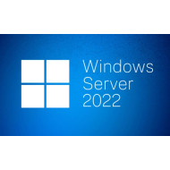 SW OEM WIN SVR 2022 STD/ENG 64B 1PK 16CR P73-08328 MS 