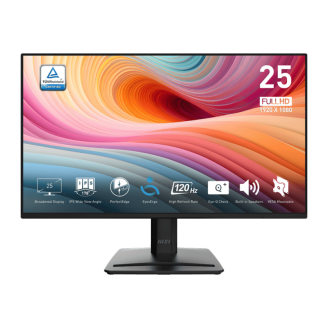 MSI Pro MP252 E2 computer monitor 