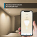 BEC LED wireless TP-LINK, 350lm, 2.9W, fasung GU10, lumina calda 2700K , control prin smartph.cu apl.Tapo, ajustare automata a luminii in fct. de mom zilei BEC LED wireless TP-LINK, 350lm, 2.9W, fasung GU10, lumina calda 2700K , control prin smartph.cu apl.Tapo, ajustare automata a luminii in fct. de mom zilei