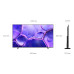 TV LED 55