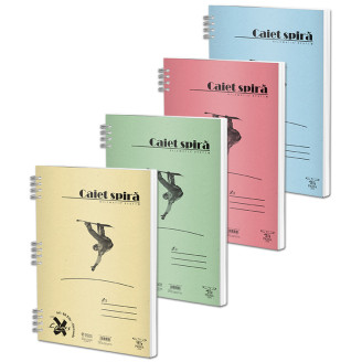 CAIET SPIRA A5 50 FILE DICTANDO BASIC PIGNA
