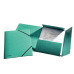 MAPA CARTON CU ELASTIC LUX VERDE ESSELTE MAPA CARTON CU ELASTIC LUX VERDE ESSELTE