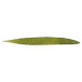 CERNEALA 75ML VERDE OLIV GRAF VON FABER-CASTELL CERNEALA 75ML VERDE OLIV GRAF VON FABER-CASTELL
