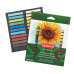 CREIOANE PASTEL SOFT 24 CULORI DERWENT ACADEMY CREIOANE PASTEL SOFT 24 CULORI DERWENT ACADEMY
