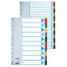 SEPARATOARE INDEX CARTON 1-10 MYLAR ESSELTE