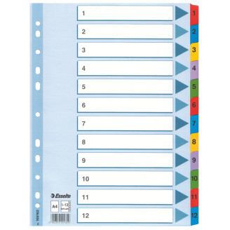 SEPARATOARE INDEX CARTON 1-12 MYLAR ESSELTE