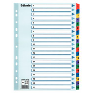 SEPARATOARE INDEX CARTON 1-20 MYLAR ESSELTE