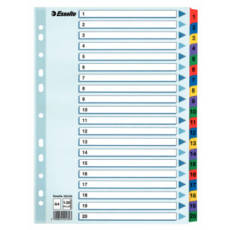 SEPARATOARE INDEX CARTON 1-20 MYLAR ESSELTE