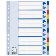 SEPARATOARE INDEX PLASTIC 12 CULORI ESSELTE