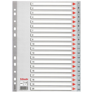 SEPARATOARE INDEX PLASTIC 1-20 ESSELTE