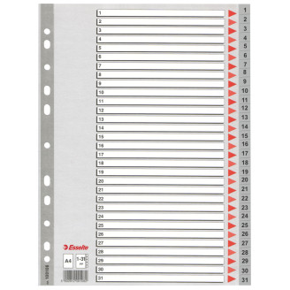 SEPARATOARE INDEX PLASTIC 1-31 ESSELTE