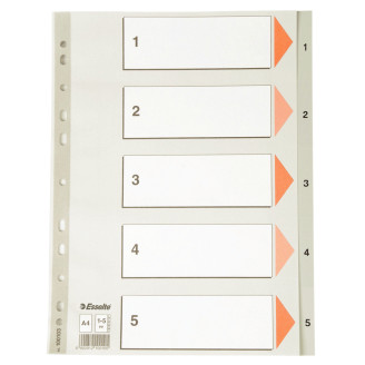 SEPARATOARE INDEX PLASTIC 1-5 ESSELTE SEPARATOARE INDEX PLASTIC 1-5 ESSELTE