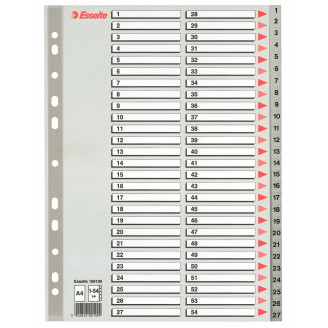 SEPARATOARE INDEX PLASTIC 1-54 MAXI ESSELTE SEPARATOARE INDEX PLASTIC 1-54 MAXI ESSELTE
