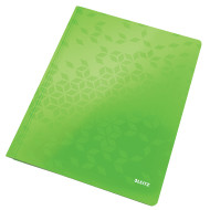 DOSAR CARTON SINA VERDE WOW LEITZ