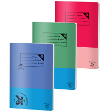 CAIET A4 60 FILE DICTANDO BASIC PIGNA