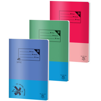 CAIET A4 60 FILE DICTANDO BASIC PIGNA