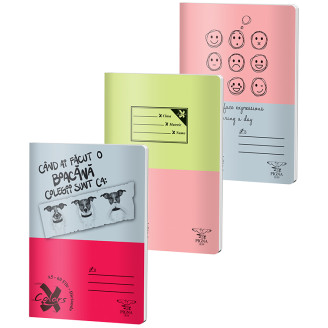 CAIET A5 60 FILE DICTANDO BASIC PIGNA