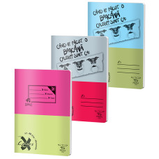 CAIET A5 80 FILE DICTANDO BASIC PIGNA