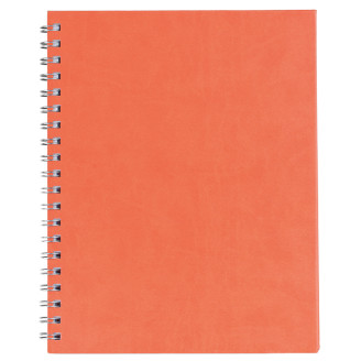 AGENDA A4 NEDATATA PORTOCALIE PREMIER EGO AGENDA A4 NEDATATA PORTOCALIE PREMIER EGO
