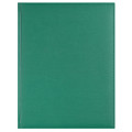 AGENDA A4 SAPTAMANALA VERDE TEXTURAT 2027 LUX  EGO