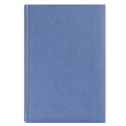 AGENDA A5 ZILNICA ALBASTRU PETROL TEXTURAT 2027 BASIC EGO