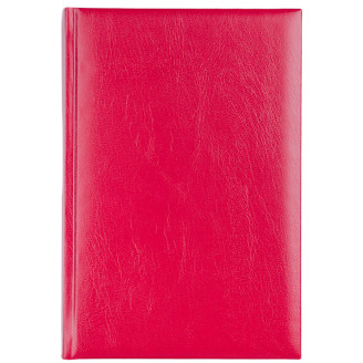 AGENDA A5 ZILNICA BORDO 2027 BASIC EGO