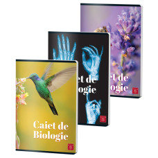 CAIET BIOLOGIE A4 24 FILE COLOR PIGNA CAIET BIOLOGIE A4 24 FILE COLOR PIGNA