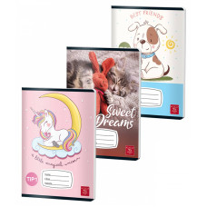 CAIET TIP I 24 FILE COLOR PIGNA CAIET TIP I 24 FILE COLOR PIGNA