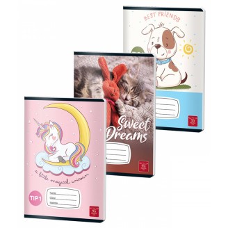 CAIET TIP I 24 FILE COLOR PIGNA