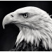 CALENDAR PERETE ANIMALE 13 FILE EGO CALENDAR PERETE ANIMALE 13 FILE EGO