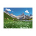 CALENDAR PERETE PEISAJE 13 FILE EGO