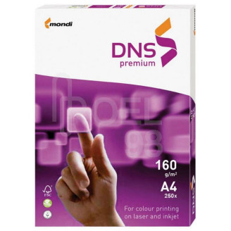 CARTON COPIATOR A4 ALB 160G 250/TOP DNS CARTON COPIATOR A4 ALB 160G 250/TOP DNS