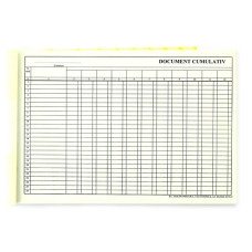 DOCUMENT CUMULATIV A4 ORIZONTAL