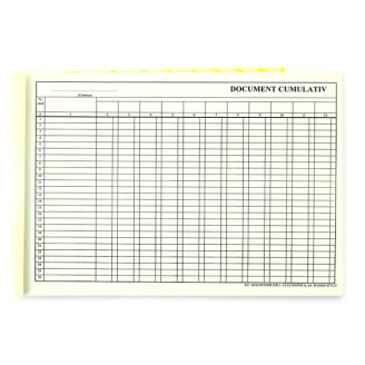 DOCUMENT CUMULATIV A4 ORIZONTAL DOCUMENT CUMULATIV A4 ORIZONTAL