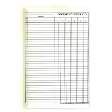 DOCUMENT CUMULATIV A4 VERTICAL