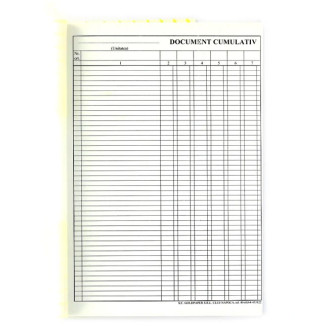 DOCUMENT CUMULATIV A4 VERTICAL