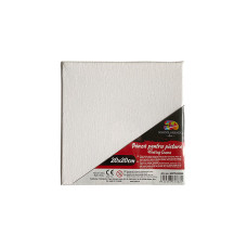 PANZA PENTRU PICTURA PE SASIU 20 x 20 CM SF ART PIGNA