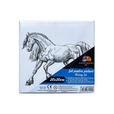 PANZA PREDESENATA PE SASIU 20*20CM CAL SF ART PIGNA